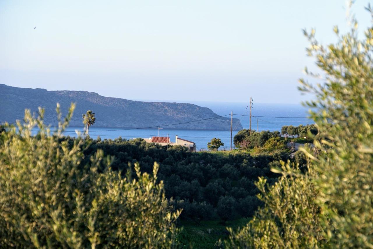 Olive Tree Hillside Apartment Stalós Esterno foto