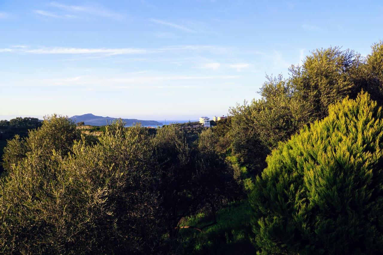 Olive Tree Hillside Apartment Stalós Esterno foto